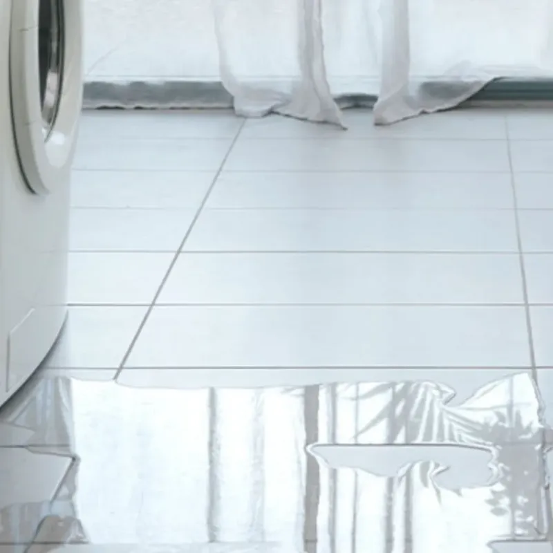 Appliance Leak Cleanup in Spring Valley, IL