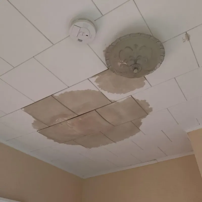 Ceiling Water Damage Repair in Spring Valley, IL