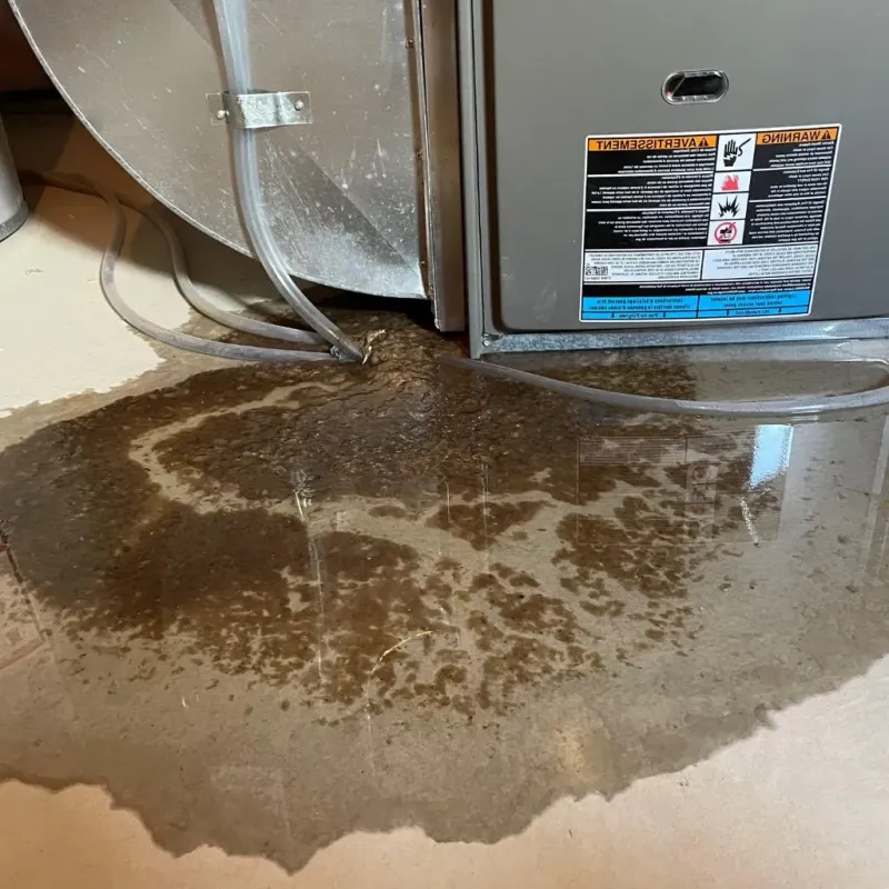 Pipe Burst and Leak Restoration in Spring Valley, IL