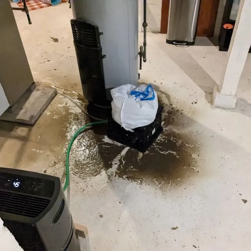 Sewage Backup Cleanup Service in Spring Valley, IL